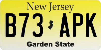 NJ license plate B73APK