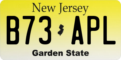 NJ license plate B73APL