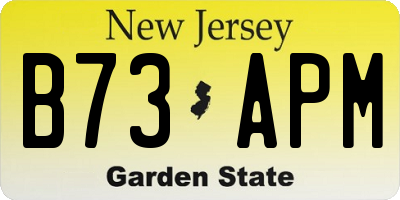 NJ license plate B73APM