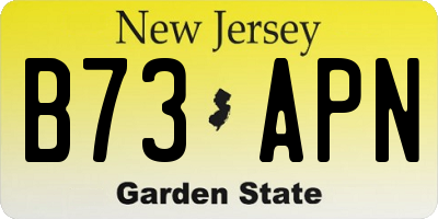 NJ license plate B73APN