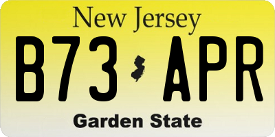 NJ license plate B73APR