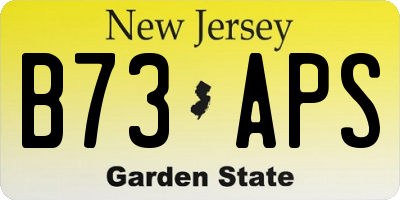 NJ license plate B73APS