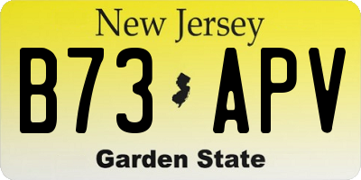 NJ license plate B73APV
