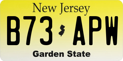 NJ license plate B73APW