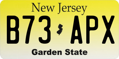 NJ license plate B73APX