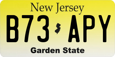NJ license plate B73APY