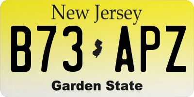 NJ license plate B73APZ