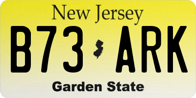 NJ license plate B73ARK