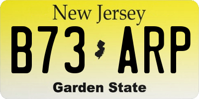 NJ license plate B73ARP