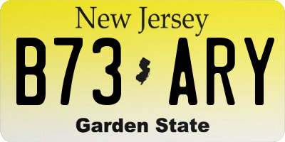 NJ license plate B73ARY