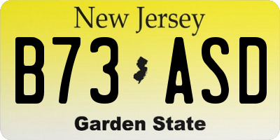 NJ license plate B73ASD