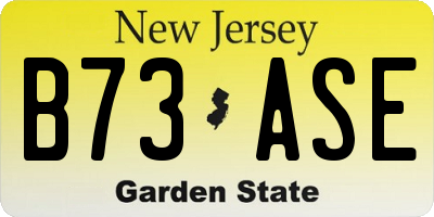 NJ license plate B73ASE