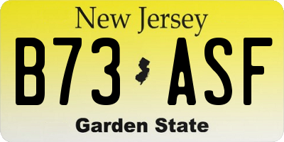 NJ license plate B73ASF