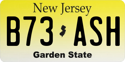 NJ license plate B73ASH