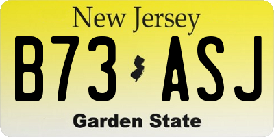 NJ license plate B73ASJ