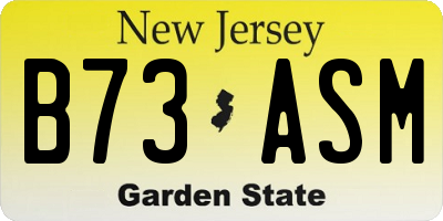 NJ license plate B73ASM