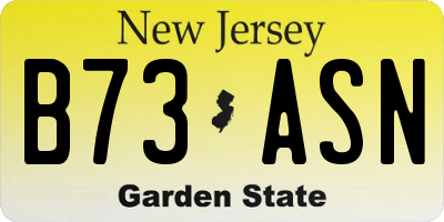 NJ license plate B73ASN