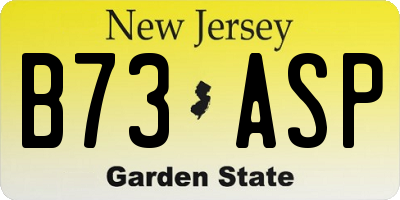 NJ license plate B73ASP