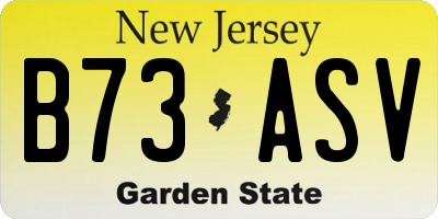 NJ license plate B73ASV
