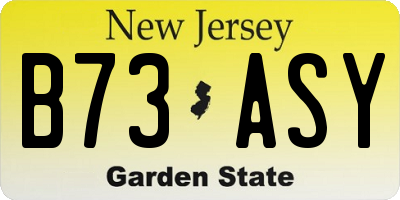 NJ license plate B73ASY