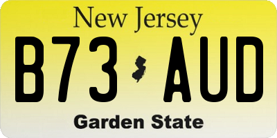 NJ license plate B73AUD