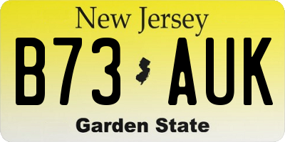 NJ license plate B73AUK