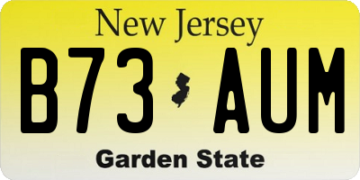 NJ license plate B73AUM