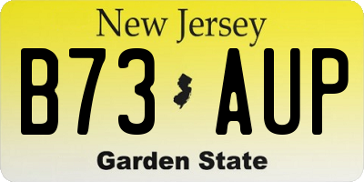 NJ license plate B73AUP