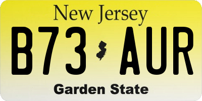 NJ license plate B73AUR