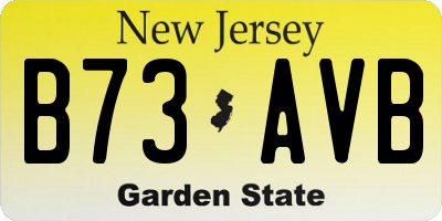 NJ license plate B73AVB