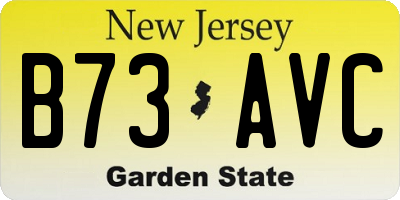 NJ license plate B73AVC