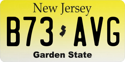 NJ license plate B73AVG