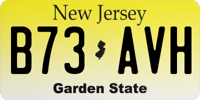 NJ license plate B73AVH