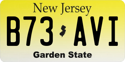 NJ license plate B73AVI