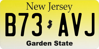 NJ license plate B73AVJ