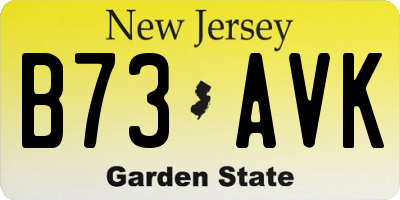 NJ license plate B73AVK