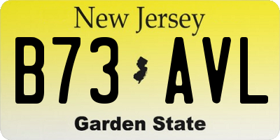 NJ license plate B73AVL