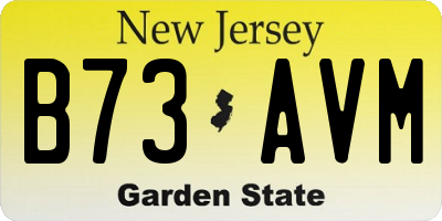 NJ license plate B73AVM