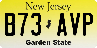 NJ license plate B73AVP