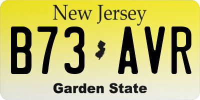 NJ license plate B73AVR