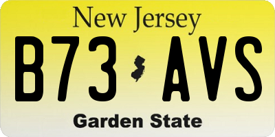 NJ license plate B73AVS