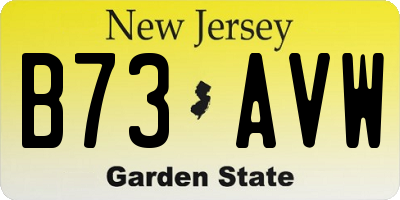 NJ license plate B73AVW