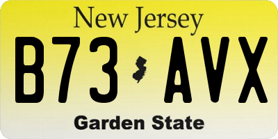 NJ license plate B73AVX