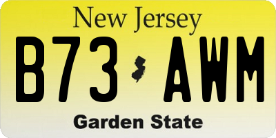 NJ license plate B73AWM
