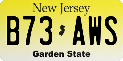 NJ license plate B73AWS