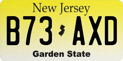 NJ license plate B73AXD