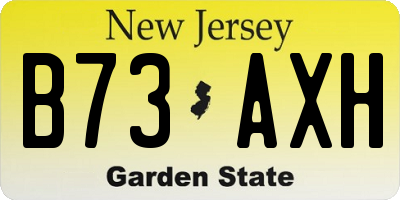 NJ license plate B73AXH