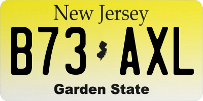 NJ license plate B73AXL