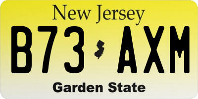 NJ license plate B73AXM