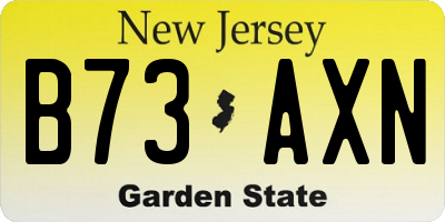 NJ license plate B73AXN